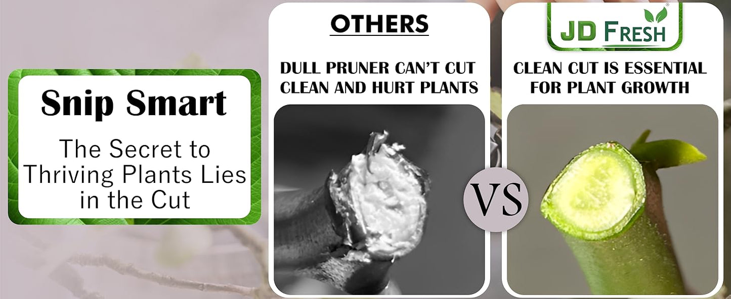 JD FRESH 8 Inch Heavy Duty Gardening Scissor