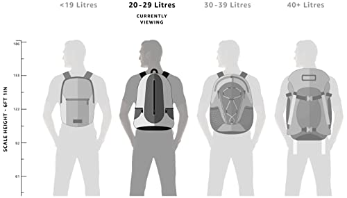 Skybags Casual Standard Backpack 28L