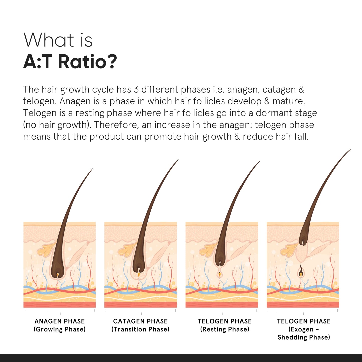 Minimalist Hair Growth Serum