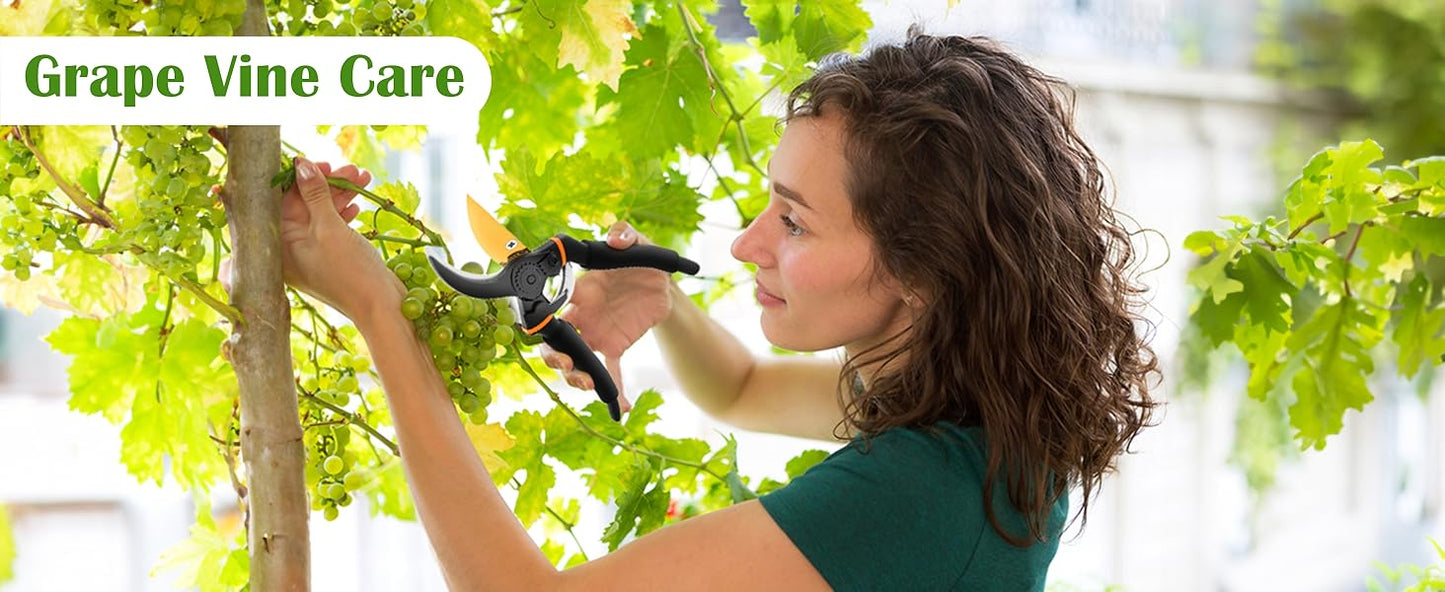 JD FRESH 8 Inch Heavy Duty Gardening Scissor