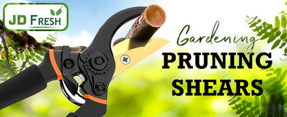 JD FRESH 8 Inch Heavy Duty Gardening Scissor