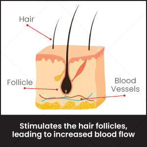Ross Round Hair Scalp Manual Head Massager