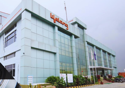 Lifelong Massager Gun